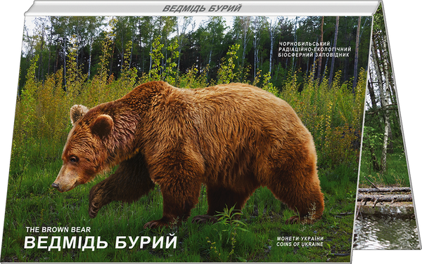 Монета Чорнобиль. Відродження. Ведмідь бурий у сувенірній упаковці 5 грн. 82 фото